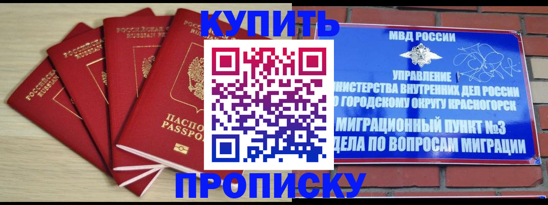 временная регистрация для всех в Светогорске